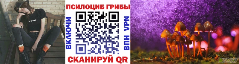 магазин  наркотиков  Темников  кракен ссылки  Псилоцибиновые грибы прущие грибы 